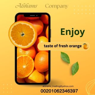 fresh orange 1