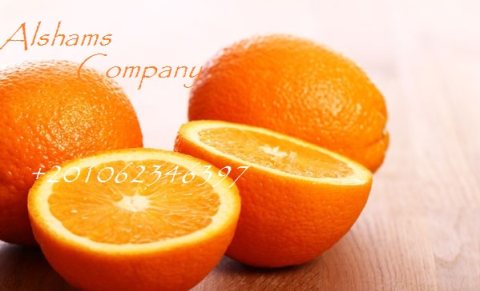 fresh orange 2