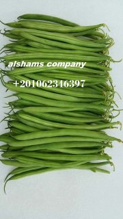 green beans 3