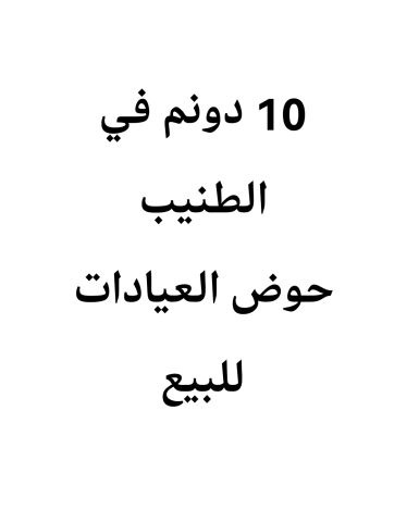 10 دونم في الطنيب حوض ٤ العيادات للبيع 