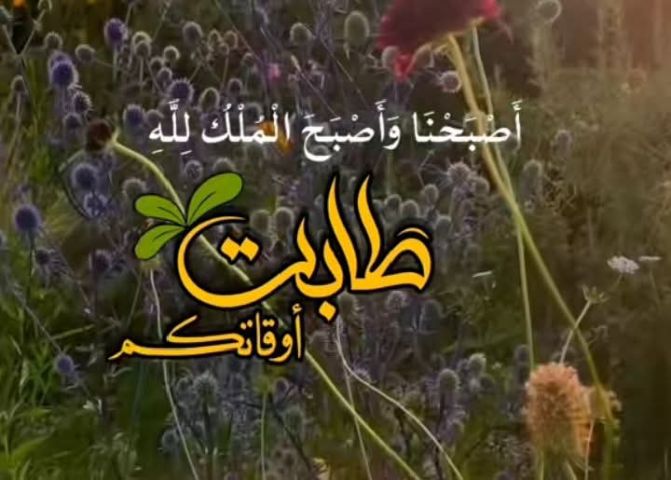 أبحث عن أمراه 