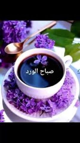 مطلوب فتاة محترمة وصادقه  2