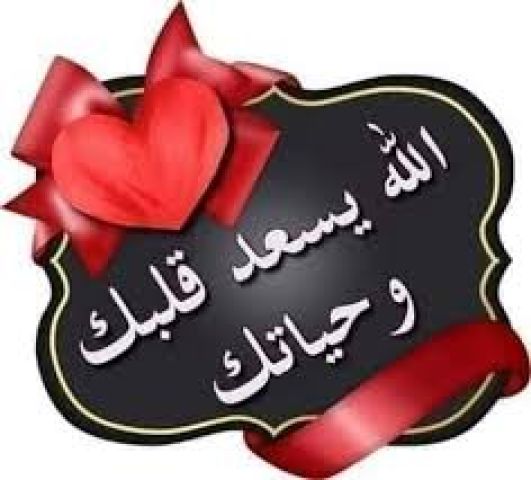ابحث عن صديقه مخلصة 