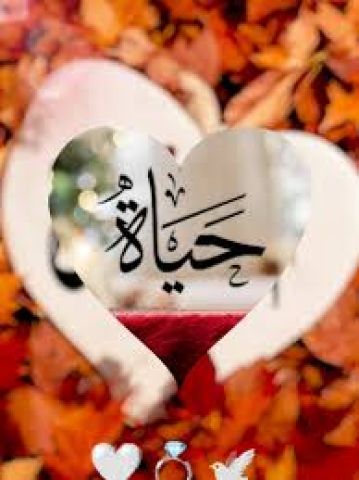 ابحث عن صديقه مخلصة  2