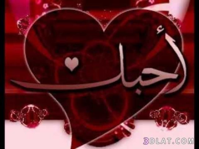 ابحث عن صديقه مخلصة  3