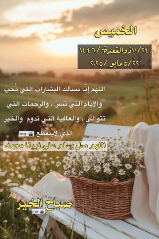 ابحث عن صديقه مخلصة  5
