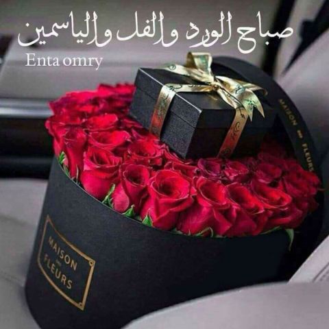 ممكن صديقه رومانسيه وزوء للدردشه 2