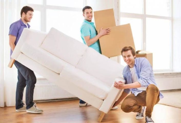 0791892219//شركة النورس لنقل الاثاث المنزل والمكاتب والشركات 