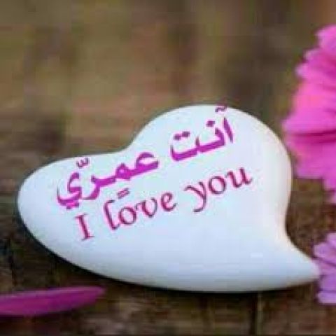 رجل يبحث عن انثى 