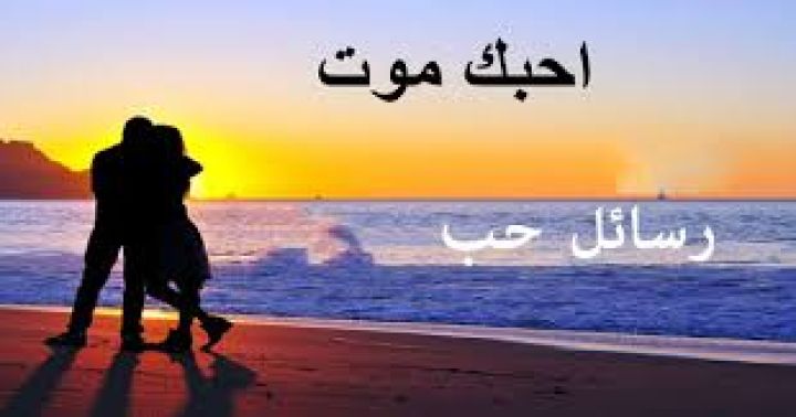 رجل جاد ابحث عن فتاه للعلاقه جاده