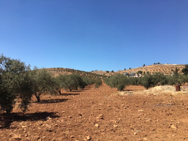 قطع أراضي مميزة للبيع على طريق المفرق-جرش 2