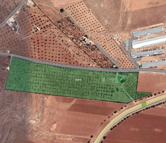 قطع أراضي مميزة للبيع على طريق المفرق-جرش 4