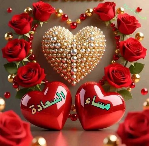 رجل يبحث عن فتاه