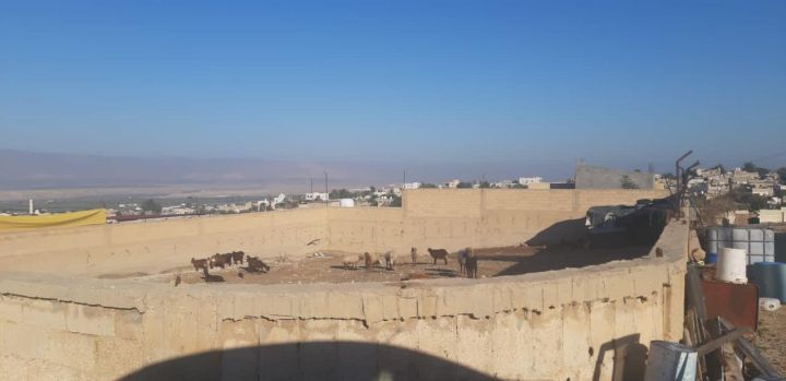 قطع اراضي للبيع في الغور - قرية الكرامة 