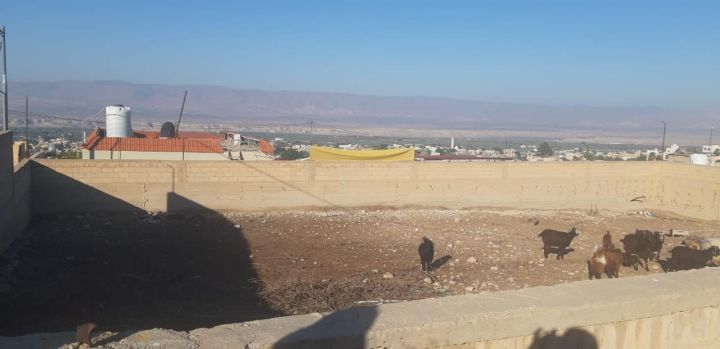 قطع اراضي للبيع في الغور - قرية الكرامة  5