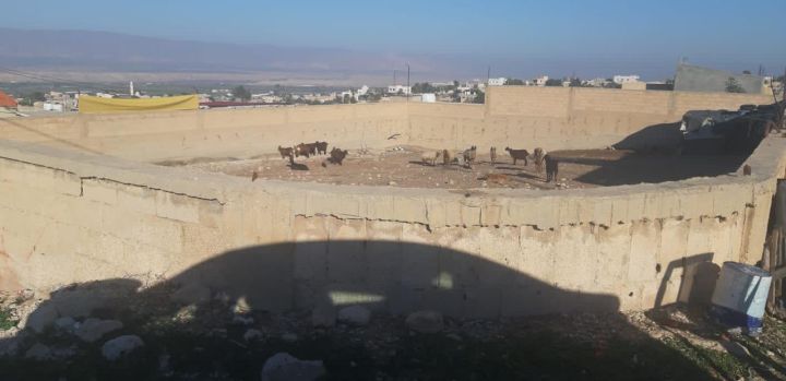 قطع اراضي للبيع في الغور - قرية الكرامة  6