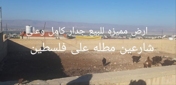 قطع اراضي للبيع في الغور - قرية الكرامة  8