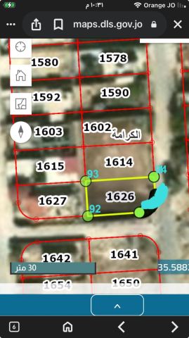 قطع اراضي للبيع في الغور - قرية الكرامة  9