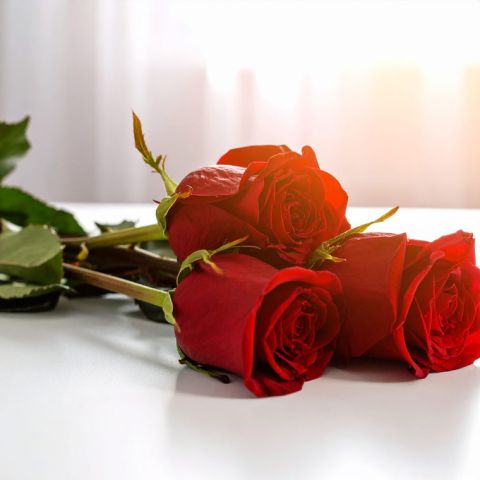 شاب أربعيني أبحث وأرغب بسيدة جادة