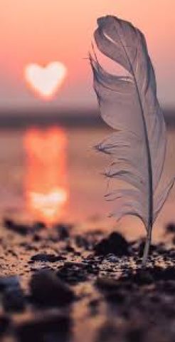 شاب يبحث عن امراه لعلاقه جاده وصادقه في اربد 