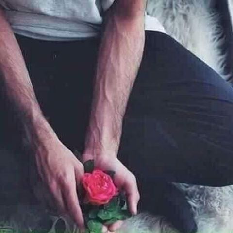 شاب ابحث عن فتاه 