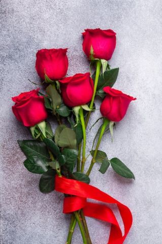 شاب أبحث عن سيدة من عمان