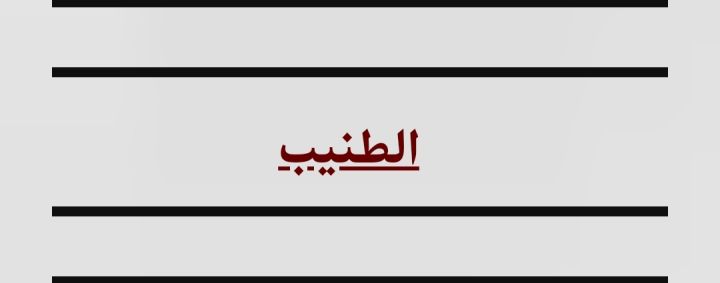 الطنيب قرب جامعه الاسراء 600 م بالعالي للبيع