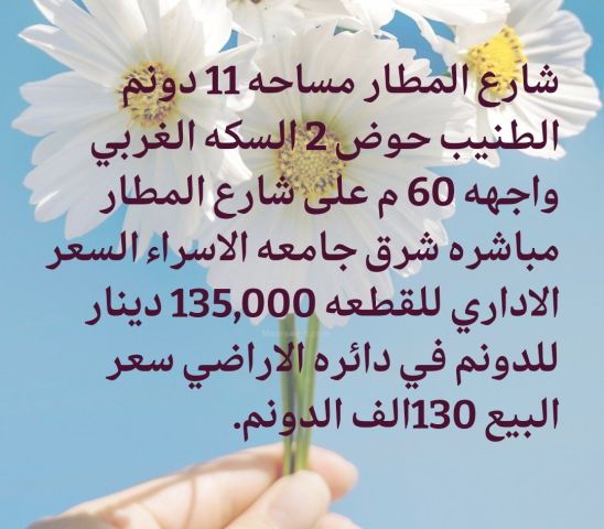 ارض 11دونم على شارع المطار مباشرة بسعر 130 الف الدونم 