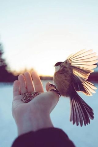 شاب من اربد ابحث عن انثى جميله وصادقه ❣️ بقصد الصداقه الجاده  3