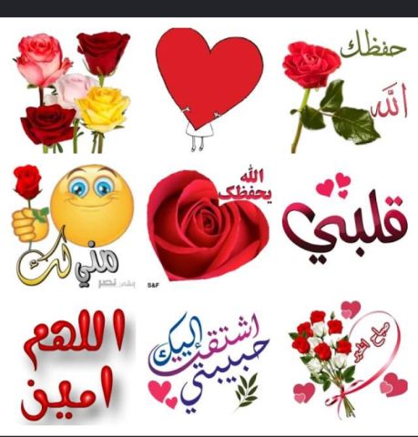ابحث عن امرأة للتعارف الجاد ليس المصلحة  2